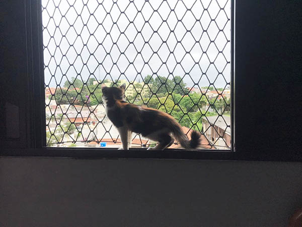 Instalação Redes de proteção em Jandira